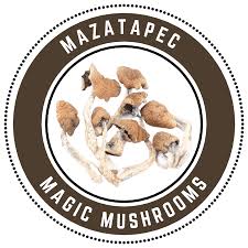Buy Mazatapec Mushroom US